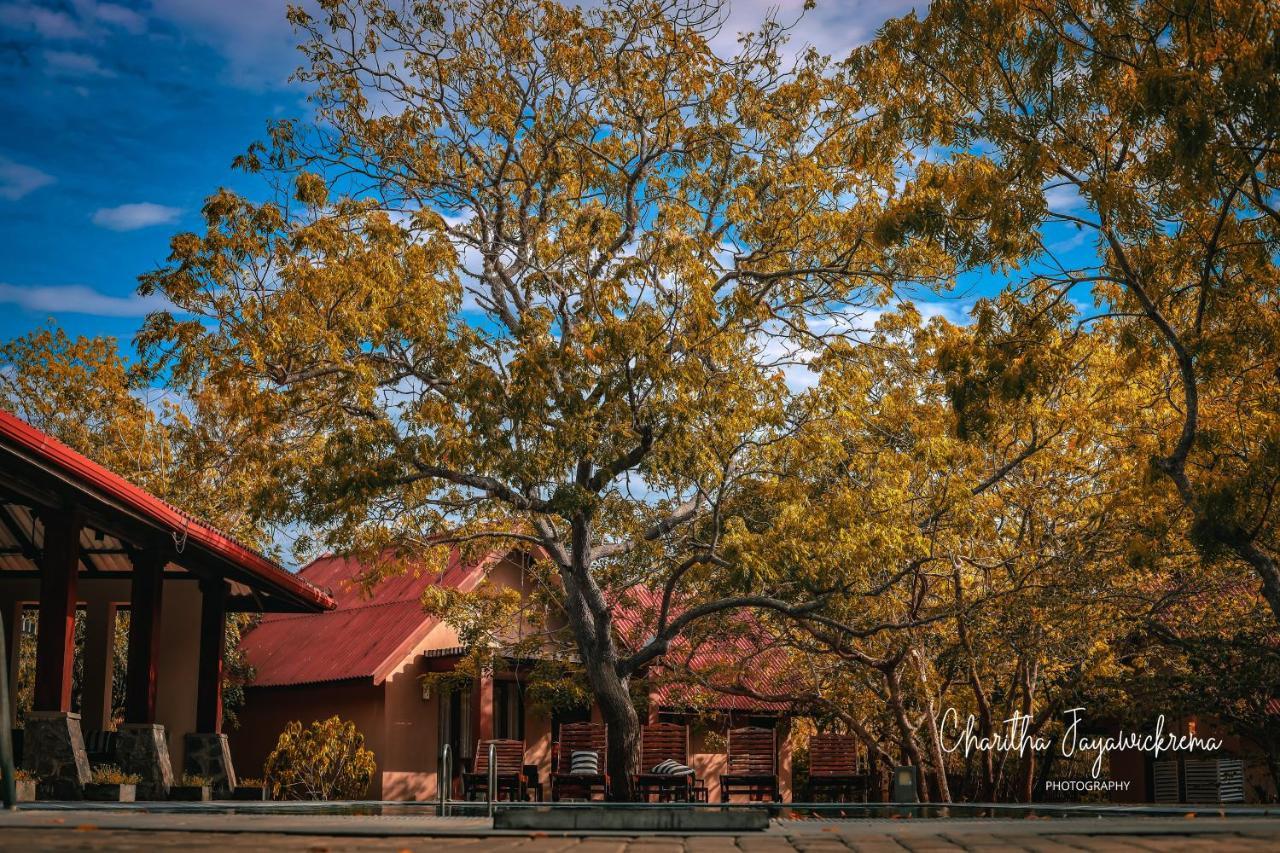 Yala Chalets By Lalan Leisure كيريندا المظهر الخارجي الصورة