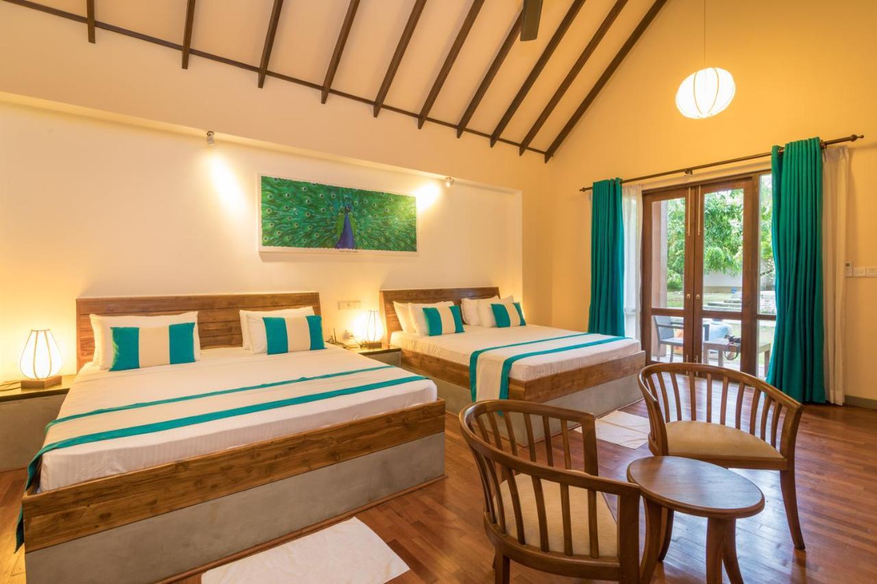 Yala Chalets By Lalan Leisure كيريندا المظهر الخارجي الصورة