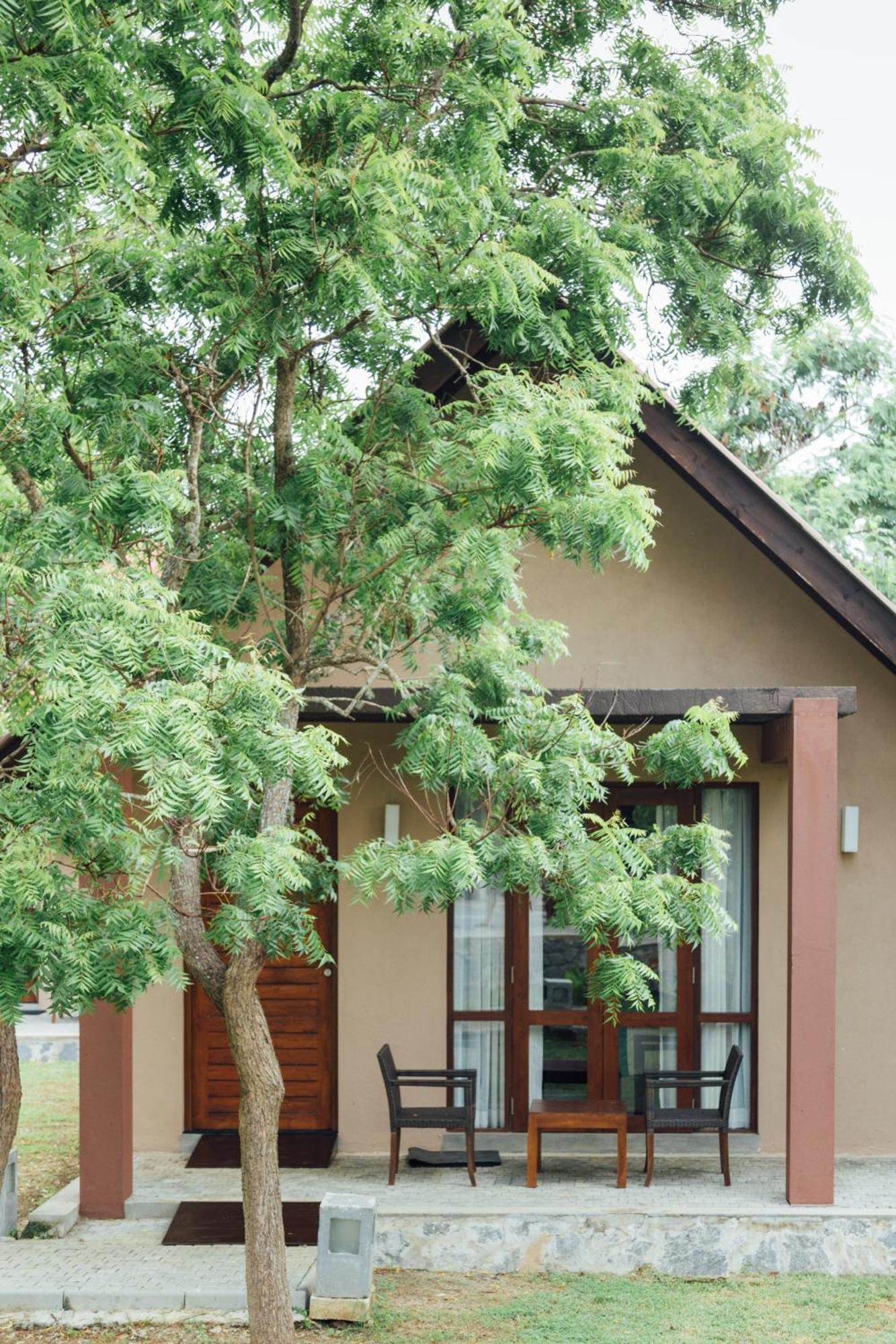 Yala Chalets By Lalan Leisure كيريندا المظهر الخارجي الصورة