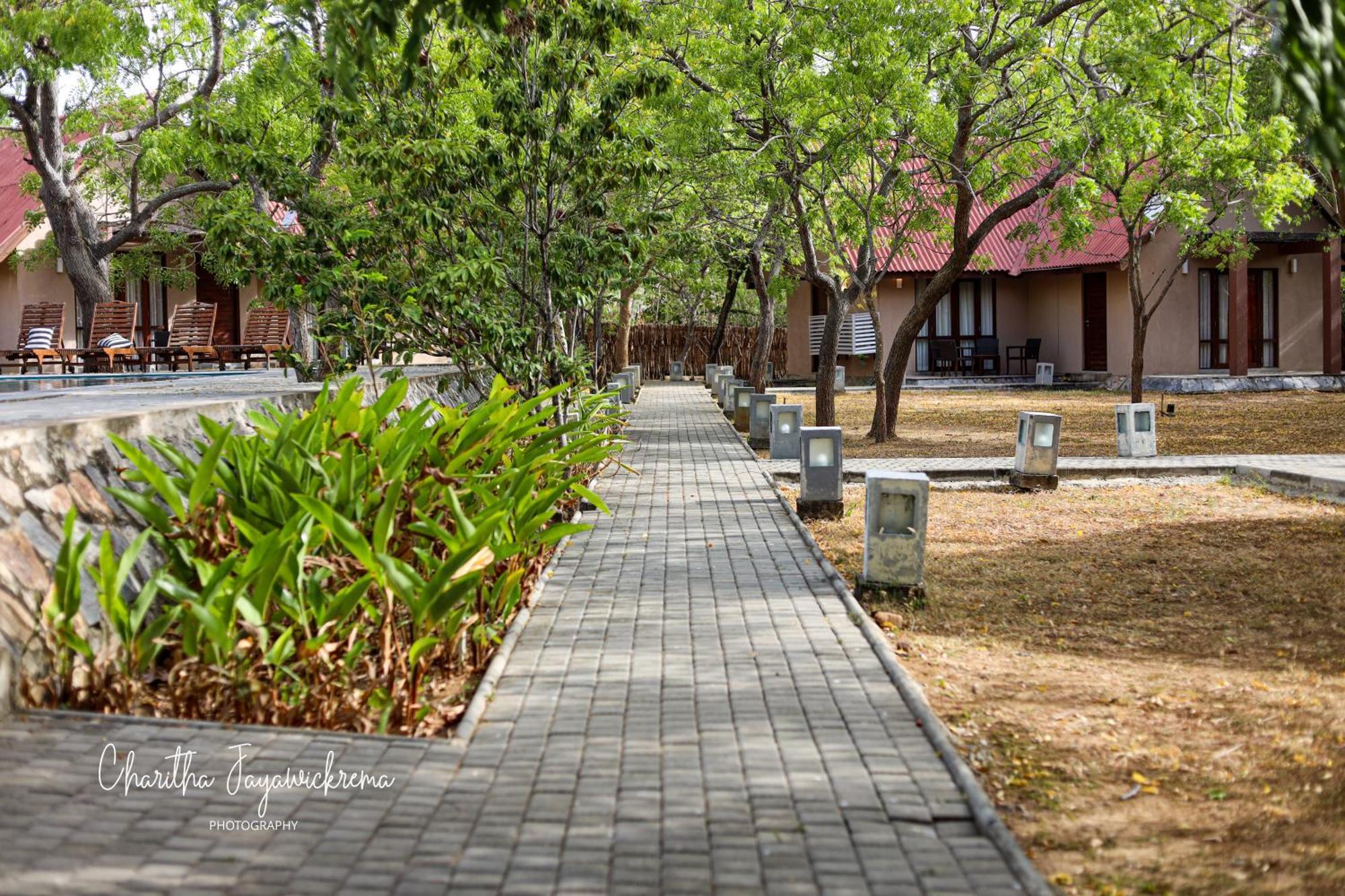 Yala Chalets By Lalan Leisure كيريندا المظهر الخارجي الصورة